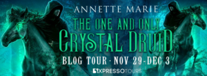 Blog Tour — Review: The One and Only Crystal Druid by Annette Marie + Giveaway (INTL)
